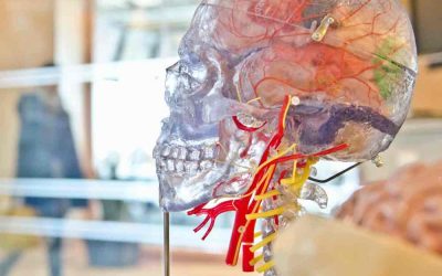 Science of Psychology – Experiments, and How Psychology Is Considered a Scientific Discipline